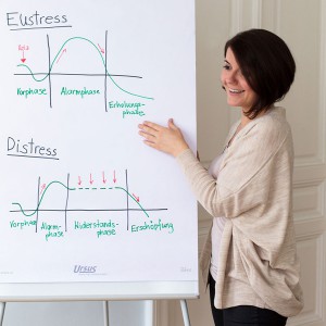 arbeitsweise Consulting & Training, Stressbewältigung, Seminar