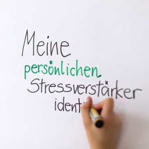 arbeitsweise Consulting & Training, Kognitive Stressbewältigung, Training